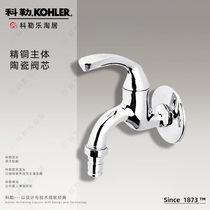 Terrace R13900T R13901T washing machine mop pool tap pier pool cloth pool single cooled whole copper common faucet