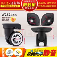 W282#One Пара замечаний цвет цвета