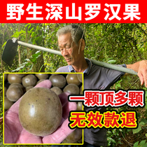 爷爷采的深山纯野生罗汉果20颗中药材干果胖大海咽茶花茶