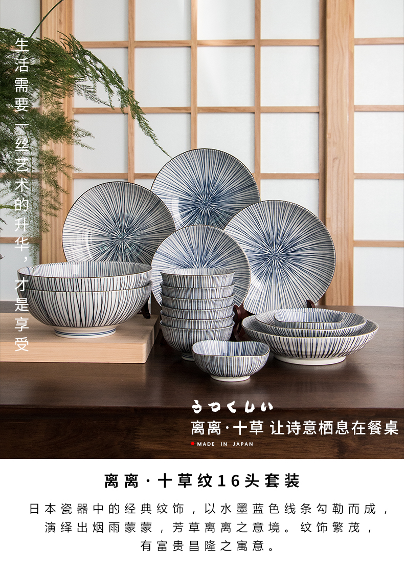 Blue and white porcelain ten grass lines imported from Japan Japanese combination of household move dishes butterfly light key-2 luxury plate suit