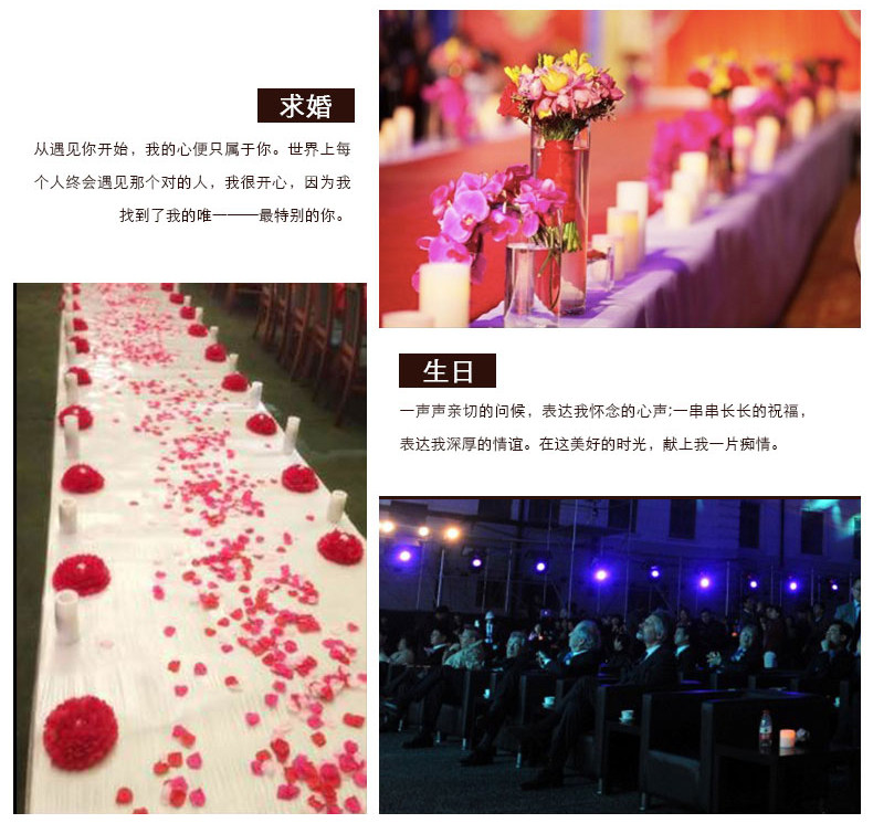 Bougie      - Ref 2487271 Image 13