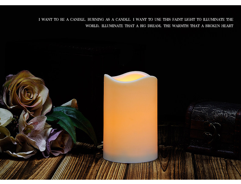 Bougie      - Ref 2487271 Image 16