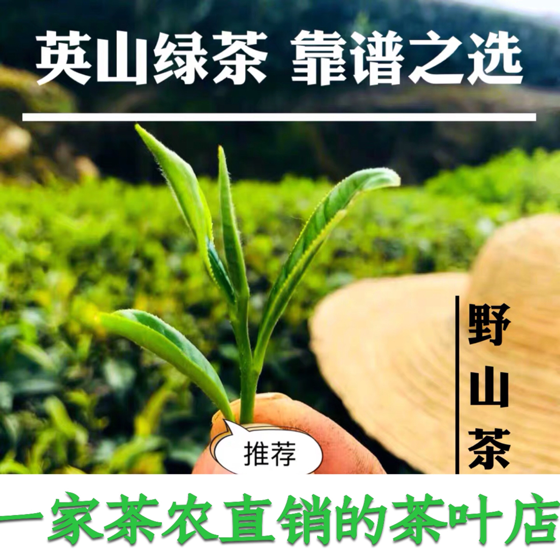 High-grade green tea 2021 New tea Mingqian Spring Tea Hubei Yingshan cloud tea Full of sunshine 500g tea