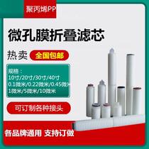 Microporous folding filter element precision filtration high temperature resistance 0 1 0 22 0 45 micron 10 inch 20 inch 30 inch 40 inch