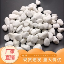 Gansu courtyard landscape paving fish tank succulent potted pavement decoration natural white stones white large and small stones