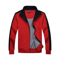 【Плиты】 красный