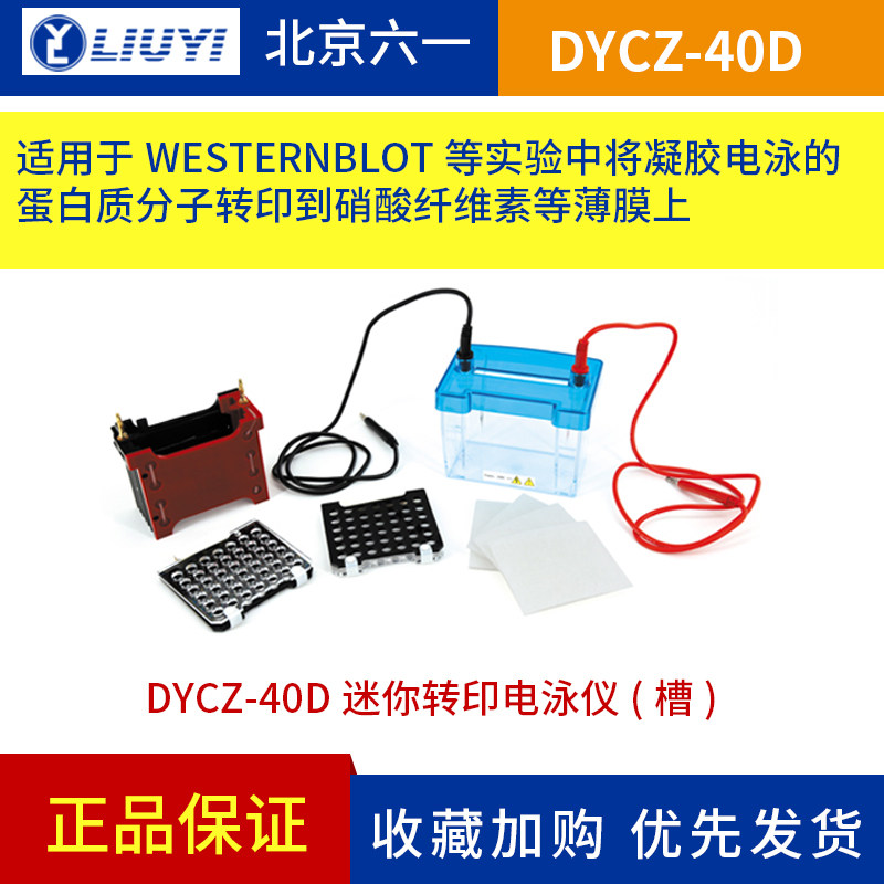 北京六一DYCZ-40D转移电泳仪迷你转印电泳槽转移芯转移孔板总成
