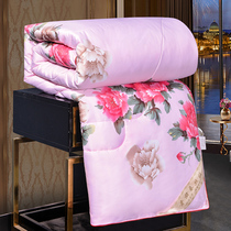 Arctic velvet silk quilt single double spring and autumn warm core student dormitory mother is thickened winter season 80kg
