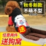 Quần áo cho chó quần áo thú cưng Bíchon Teddy chó nhỏ Quần áo chó Pomeranian giản dị áo len chó VIP - Quần áo & phụ kiện thú cưng áo phao cho chó
