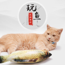 Pet Cat 3D Emulation Fish Kitty Supplies Cat Toy Kitty Mint Fish Teasing Cat Grilled Kitty Grindrome Kitten Pillow