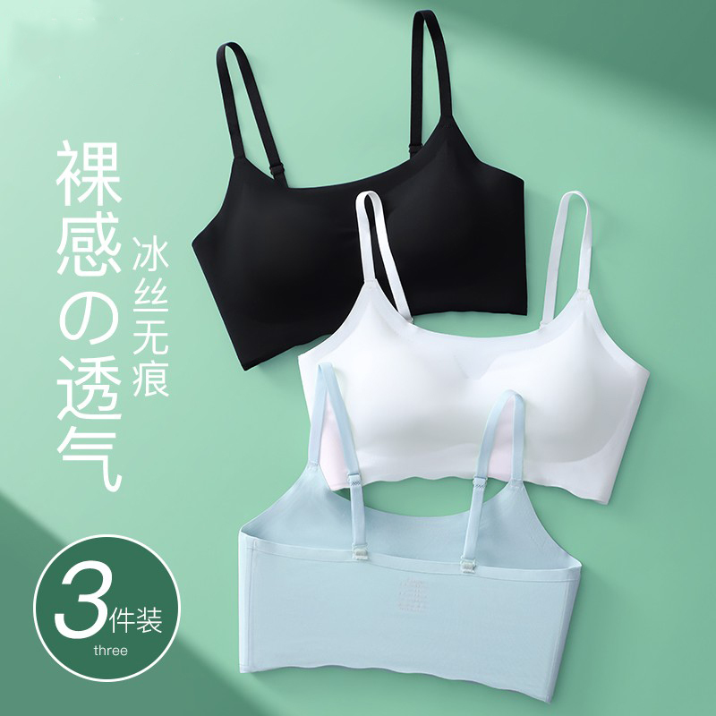 Seamless Underwear for Women, Thin Style, Small Chest Push-Up Bra, No Underwire, Sports Beauty Vest Style, Large Size Bandeau Bra