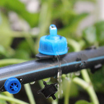 Fixed flow detachable pressure compensated dripper black 4L8L tip tip dripper potted orchard greenhouse drip irrigation