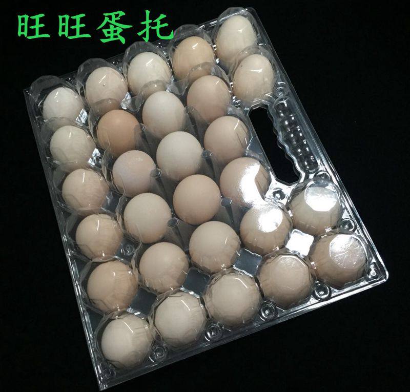 Spot 28 Medium Number Disposable Eggs Packaging Box Transparent Handheld Plastic Egg Box Egg Gift Box