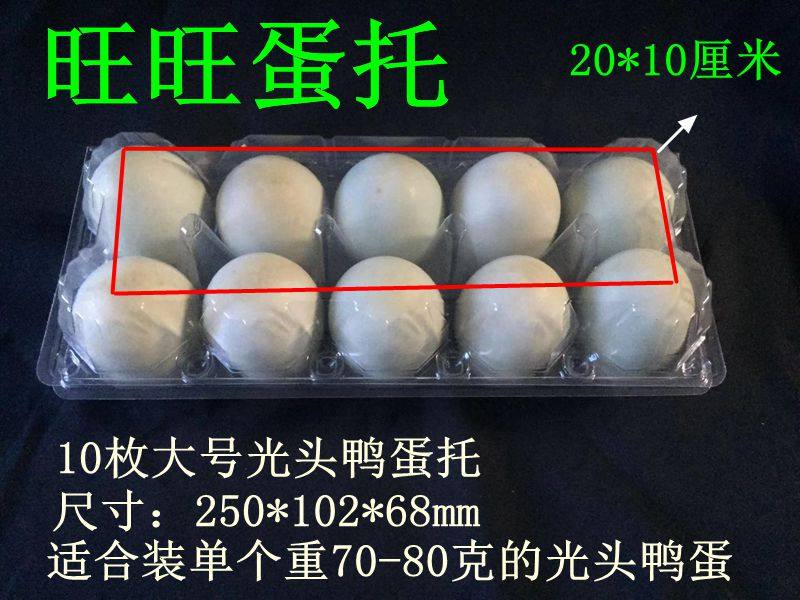 Direct selling 10 large egg toilet duck egg suction packaging Lighthead roast duck egg transparent tray glutinous rice egg gift box