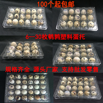 Factory direct sales transparent plastic 24 quail egg box disposable 30 bird eggs blister packaging tray spot