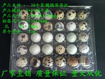 Factory direct sales 30 quail eggs transparent blister packaging box Plastic gift box tray egg egg box