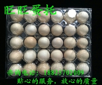 Manufacturers direct sales of 30 medium - sized high - speed plastic egg - tray egg transparent packaging box - aperture 44MM