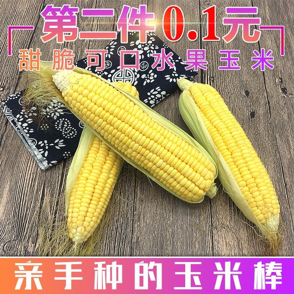 拍2件 食蕴鲜 非转基因 新鲜甜糯玉米 8斤 双重优惠折后¥24.9包邮 拍2件 食蕴鲜 非转基因 新鲜甜糯玉米 8斤 双重优惠折后¥24.9包邮