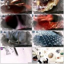 Gourmet Dietary Catering Cultural Tongue China Gourmet China (words at the end of the text can modify the sheet-head ae template