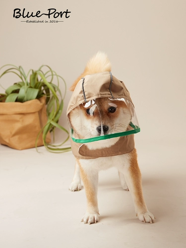 Удобство для собак Blueport Commonience Raint Paint Paint Paint Paint Paint Paint Paint Paint Paint Paint Paint Paint Paint Paint Paint Paint Paint Paint -Plound Winderablet Offercective с капюшоном и дождливыми питомцами для путешествий для перемещения