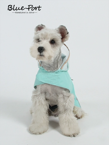 Удобство для собак Blueport Commonience Raint Paint Paint Paint Paint Paint Paint Paint Paint Paint Paint Paint Paint Paint Paint Paint Paint Paint Paint -Plound Winderablet Offercective с капюшоном и дождливыми питомцами для путешествий для перемещения