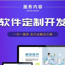 Software custom development