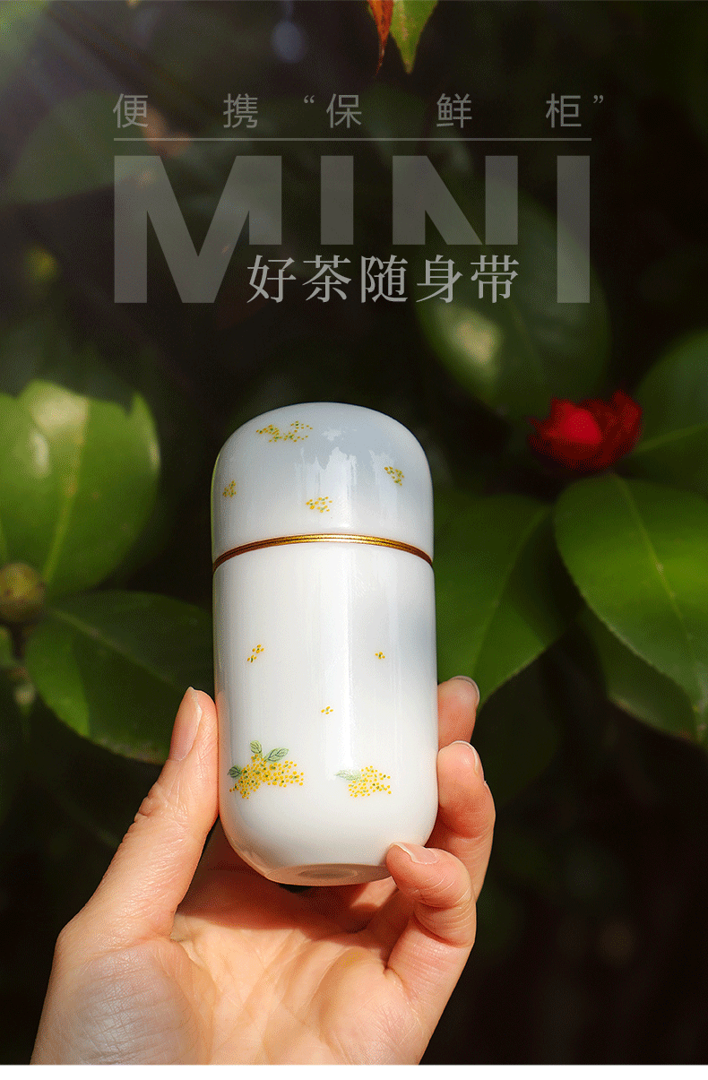 The Escape this hall creative jingdezhen ceramic small caddy fixings portable sealed as cans small POTS with pure manual travel