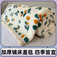 Коралловое зимнее одеяло, диван для сна, фланелевая простыня, увеличенная толщина