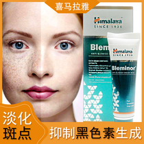 India Himalaya bleminor plant lightens spots to remove melasma after sun exposure