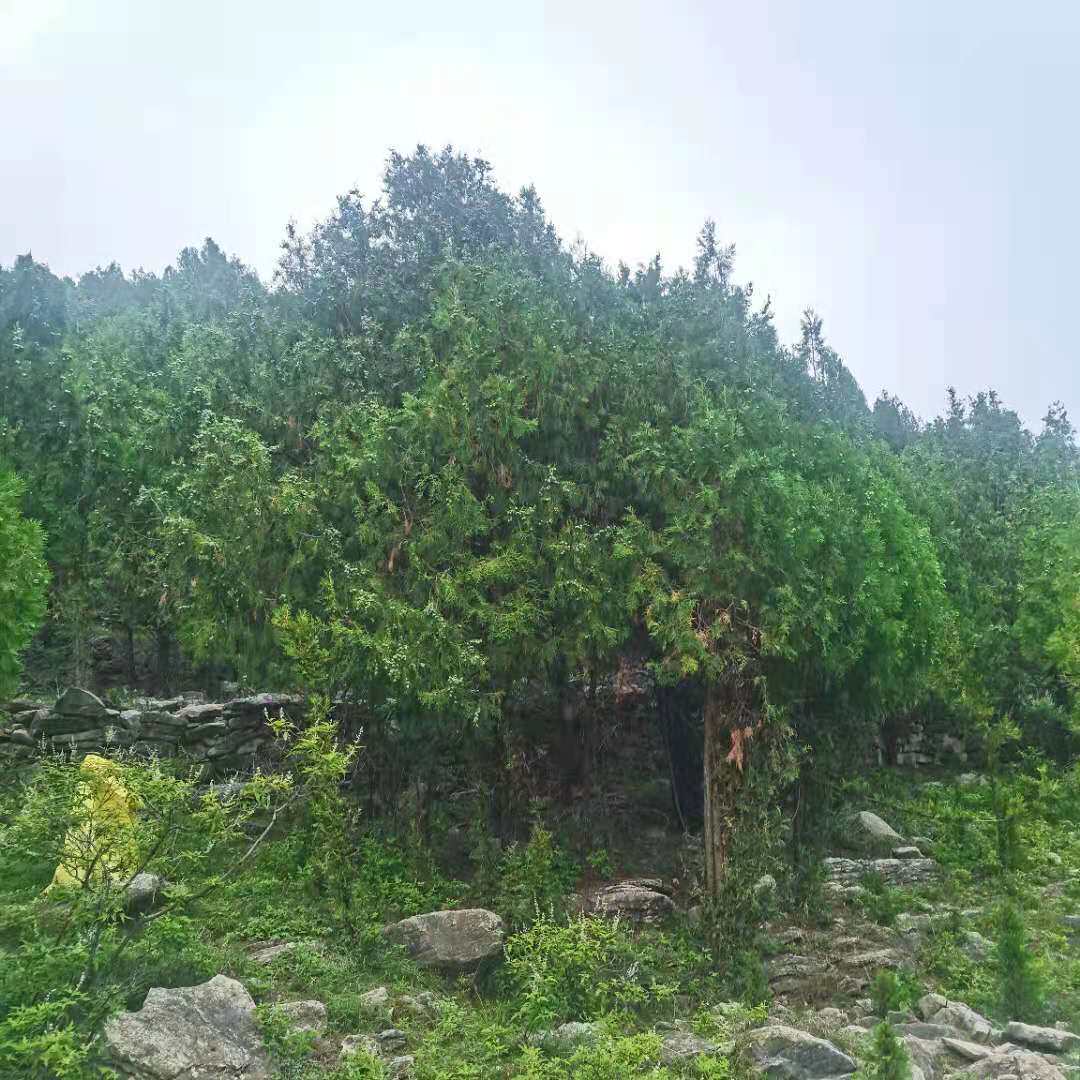 蒙山小山村