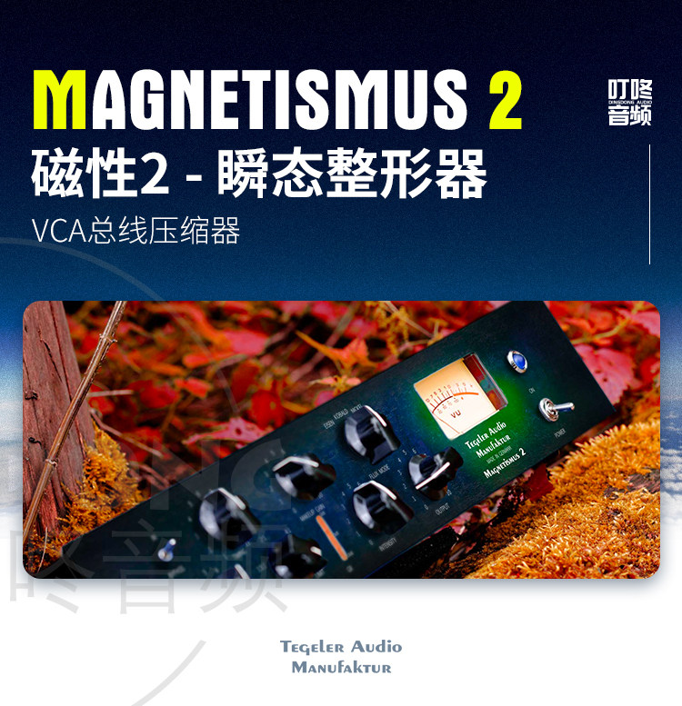 Tegeler Audio Magnetismus 2 MAG插图1