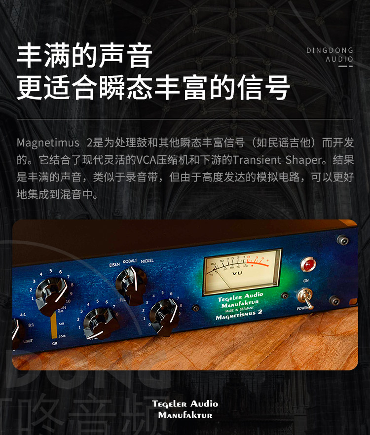 Tegeler Audio Magnetismus 2 MAG插图3