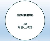 Beethoven dedicated to Alice piano Jane Spectral electropiano Spectral C Piano Self-Learning Violin