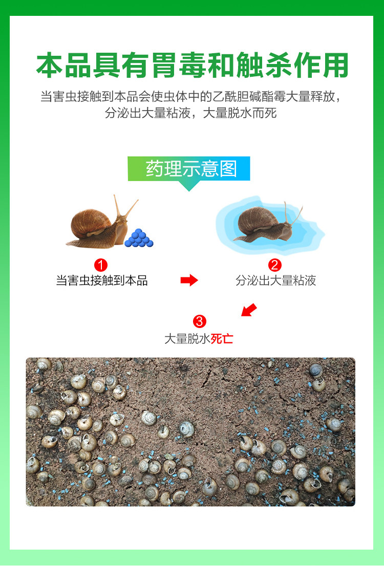 01 Sizu acetaldehyde (Zhongbao Kocwan) детали_04.jpg
