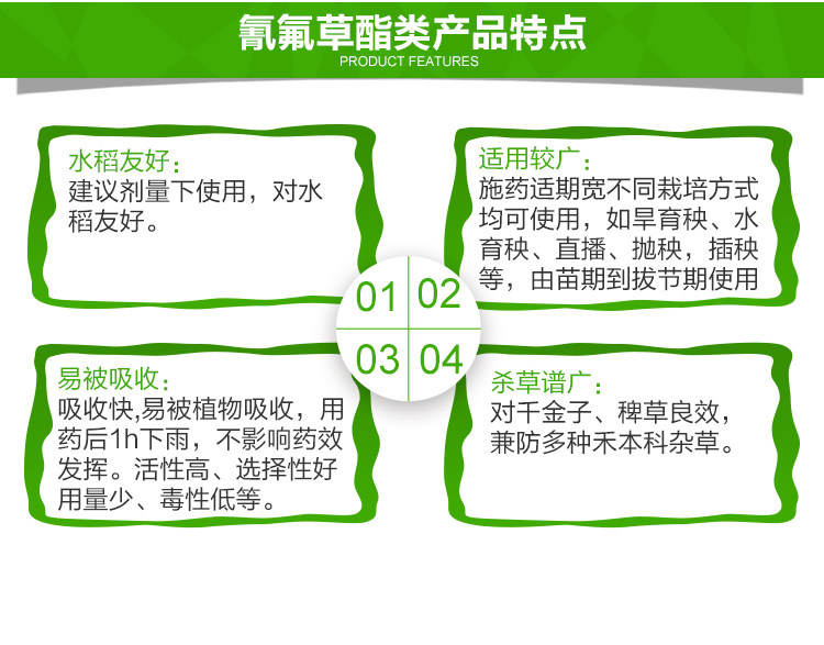 Dao Dao Shun Details Page new_04.jpg