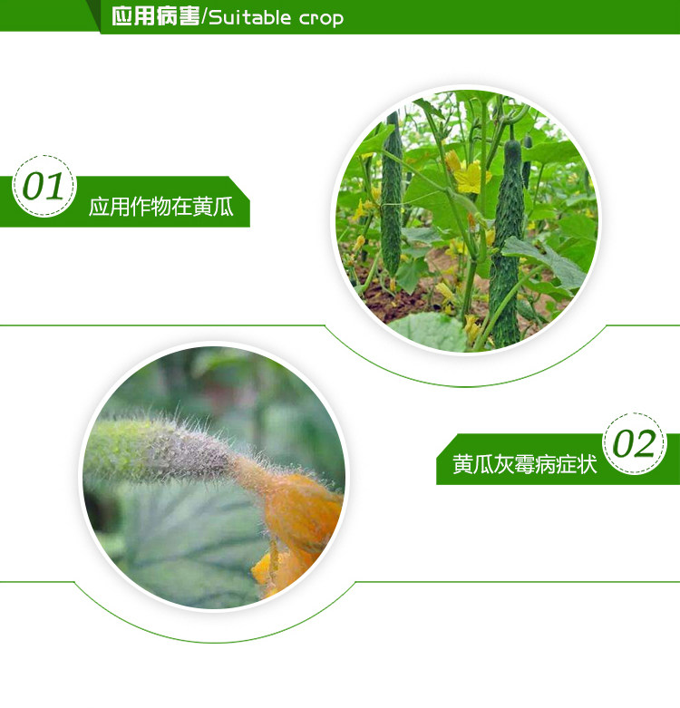 [施灰乐详情(最新)_04.jpg]