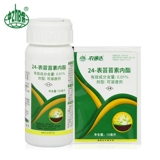 Zhongbao Yunyun Lipidone Lipidon Crore Crons сильные саженцы, чтобы снять повреждение лекарств и плодозащитные фрукты, увеличивая производственное регулятор роста растений