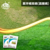 Wangjia duofluoromyamide Cover Garrier Green Spots Courdine Болезнь болезни клапана сад для гольфа бактериальные пестициды пестициды пестициды
