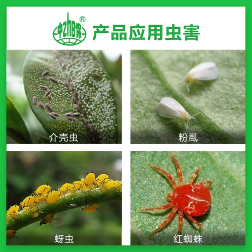 Zhongbao Пестицид авинозид червя огурцы