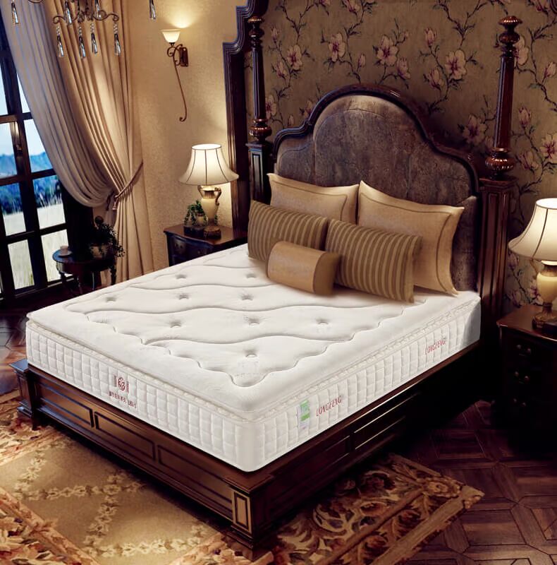 Rồng nệm độc lập nệm lò xo L800 phân vùng mủ câm với hai mùa hè khỏe mạnh và mùa đông Simmons - Nệm nệm cao su non giá rẻ