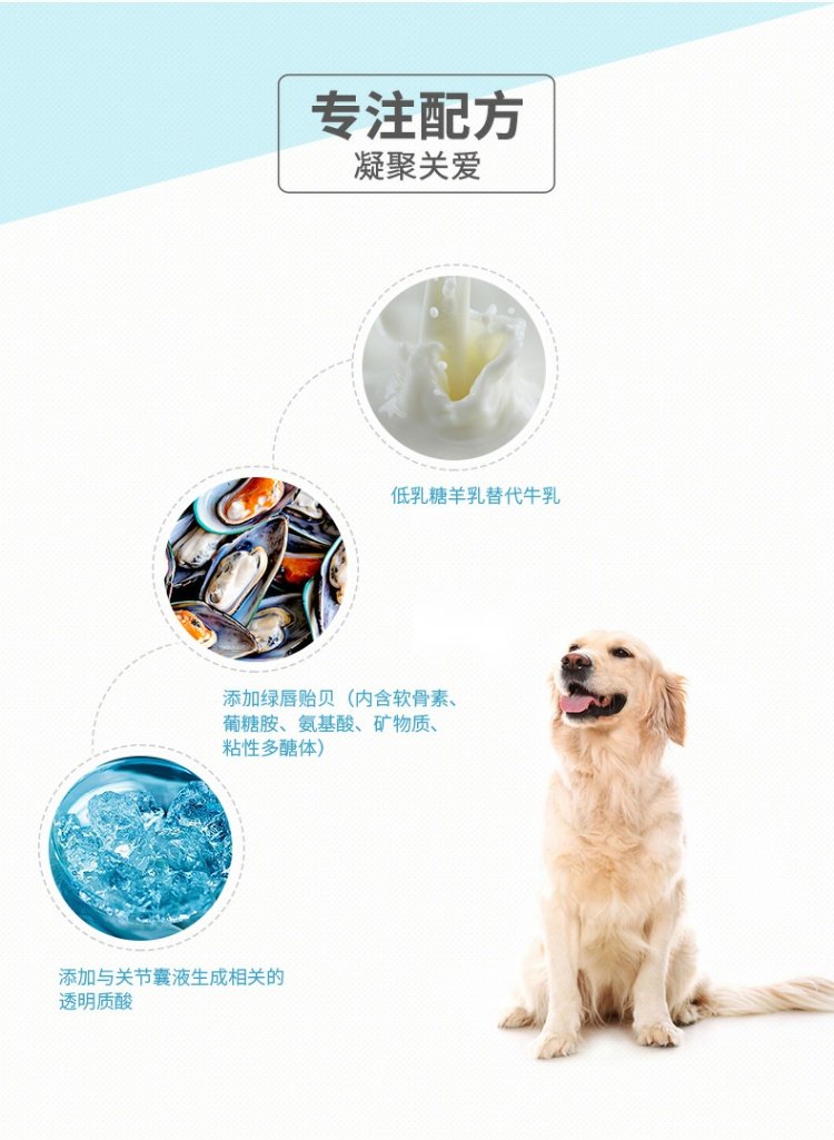 Wisconsin Canxi Chondroitin 160 Viên nén Sửa chữa chung Golden Retriever Cat Dog Viên canxi Canxi Sản phẩm dinh dưỡng cho sức khỏe cho mèo con uống sữa gì
