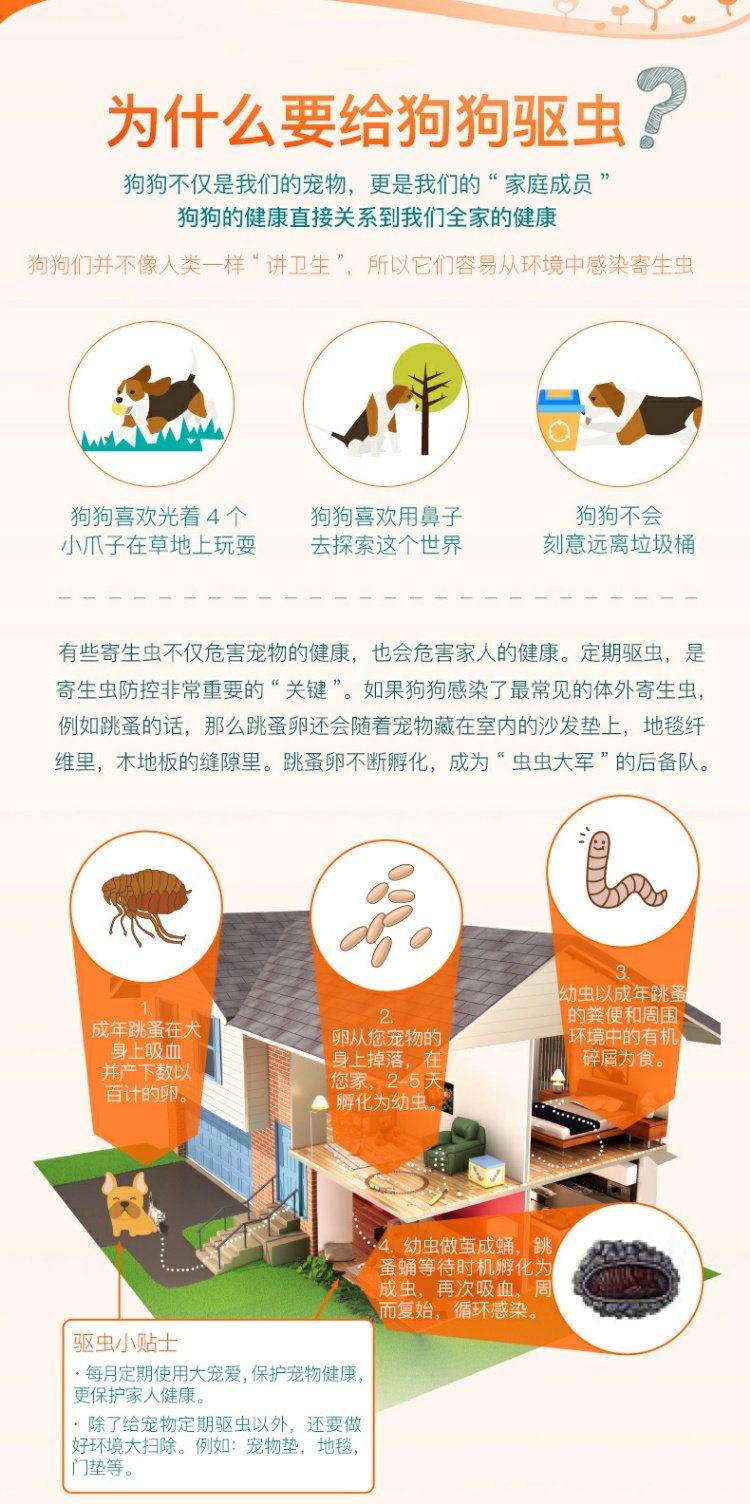 大宠爱小型犬用体外滴剂去除螨虫跳蚤宠物狗狗