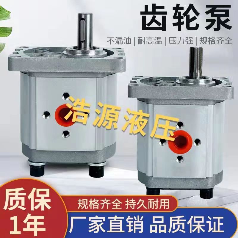 Hydraulic gear pump oil pump CBN-E306 310314316320325 hydraulic fitting-Taobao