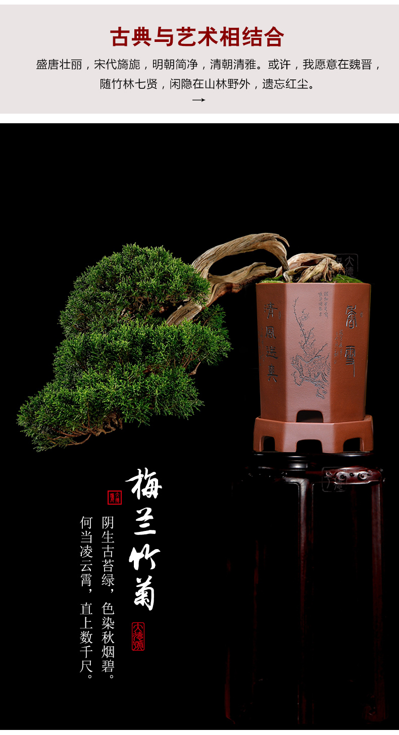 紫砂花盆宜兴陶瓷蓝草绿植盆景盆八方刻绘带托盘君子兰兰花专用盆 景德镇名瓷在线 紫砂花盆宜兴陶瓷蓝草绿植盆景盆八方刻绘带托盘君子兰兰花专用盆 景德镇名瓷在线