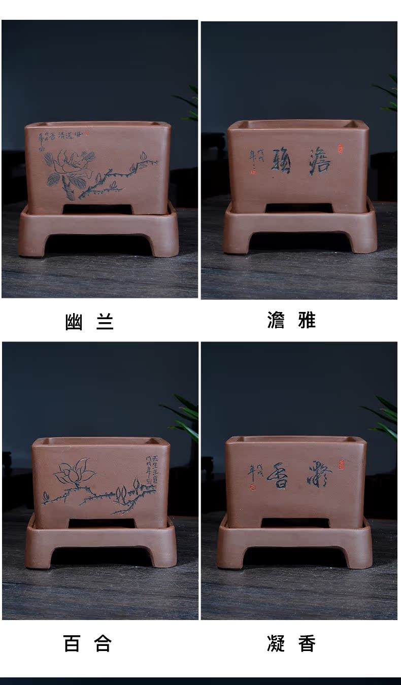 Greatness, yixing purple sand size flowerpot more than four square basin meat clivia is carved painting special pot the plants