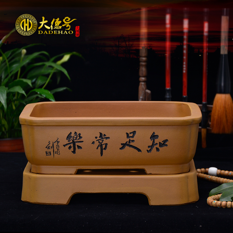 Purple sand flowerpot rectangle bonsai pot ceramic flower POTS with tray, green asparagus rockery the plants stump flowerpot
