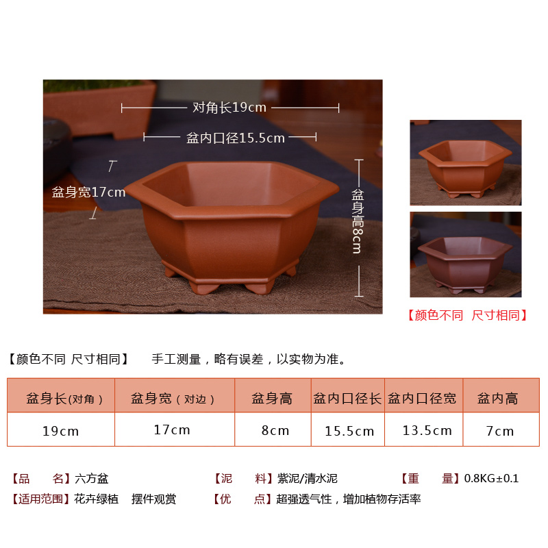 Greatness, boutique purple sand flowerpot six - party bonsai flowers, green potted small basin to mesh
