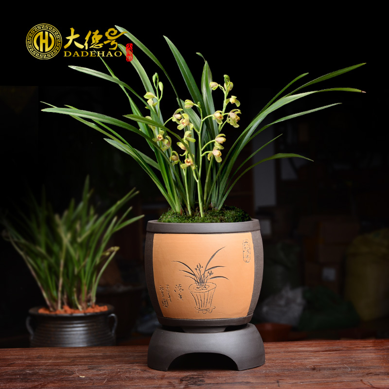Ceramic POTS boutique yixing retro elegant indoor green, the plants potted coarse pottery flowerpot clivia flower POTS with tray