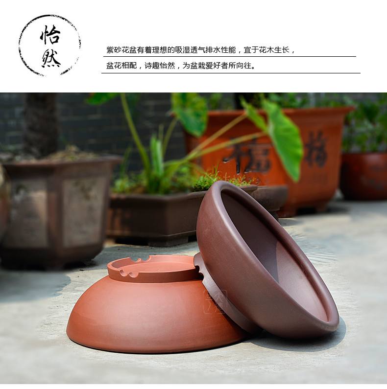 Greatness, yixing purple sand flowerpot high - quality goods straight expressions using basin of great circle tank undressed ore purple clay cement