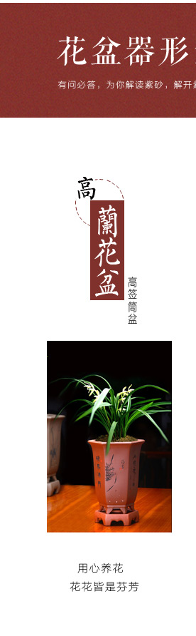 Greatness, square yixing purple sand flowerpot with tray was carved painting batter miniascape green plant orchid clivia is special